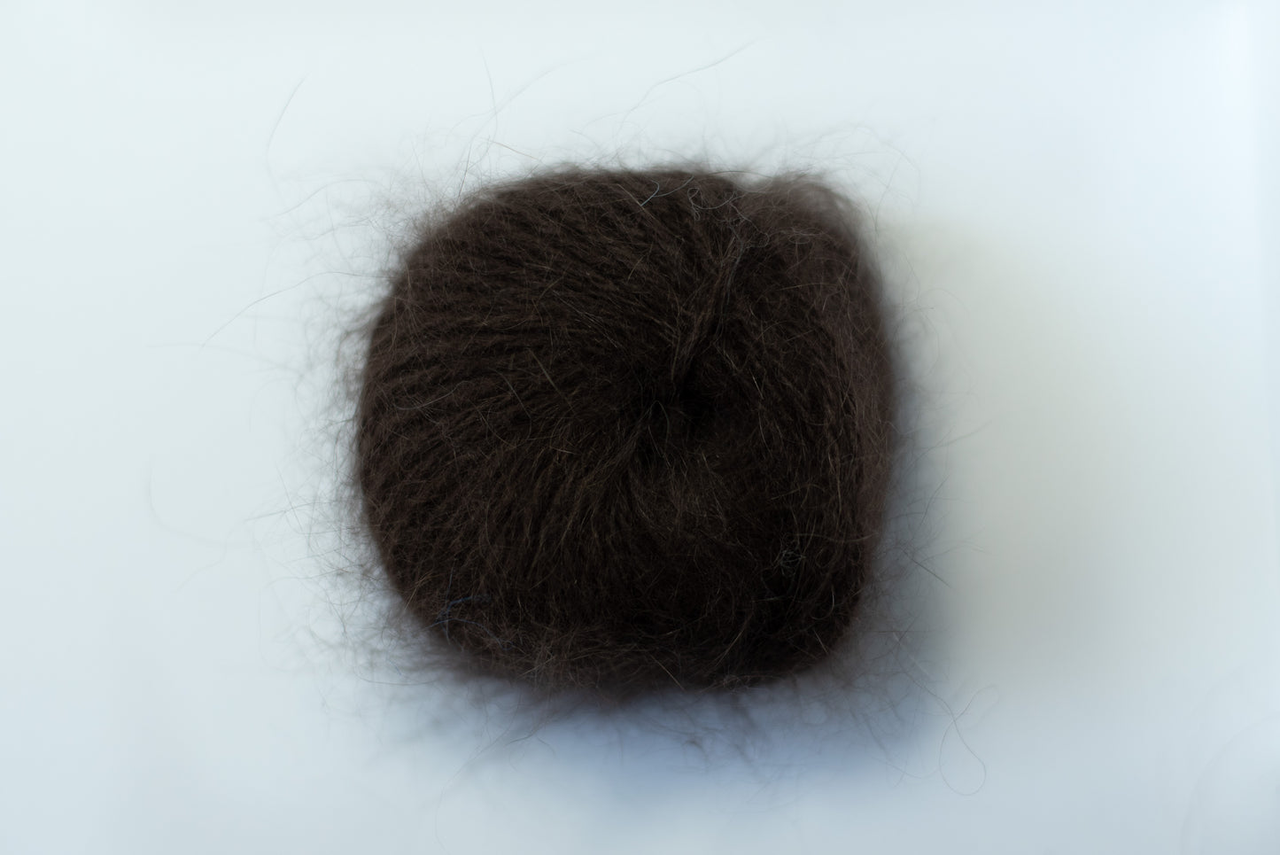 Belangor Angora  Brown