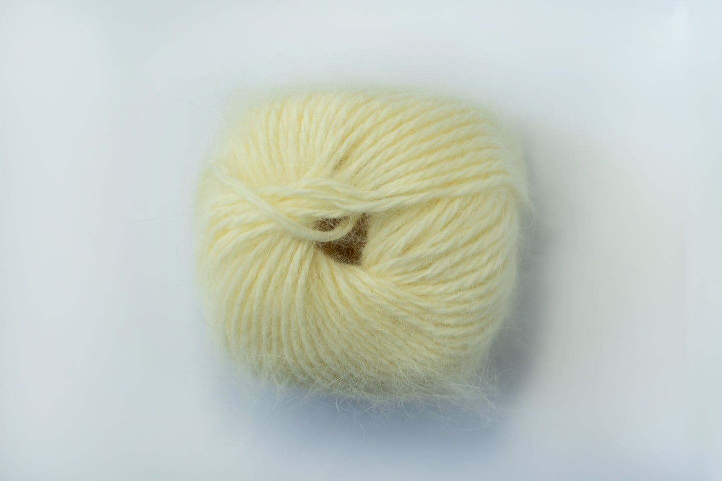 Belangor Angora Canary